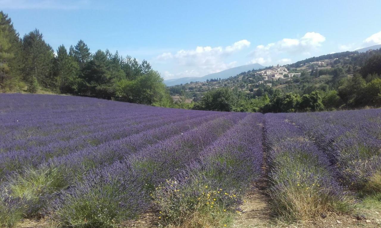 Le Petit Ventoux Hotel Malaucene Bagian luar foto